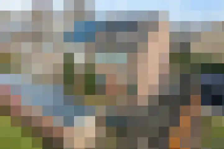 Dieptol 46 Steenwijk thumbnail 35