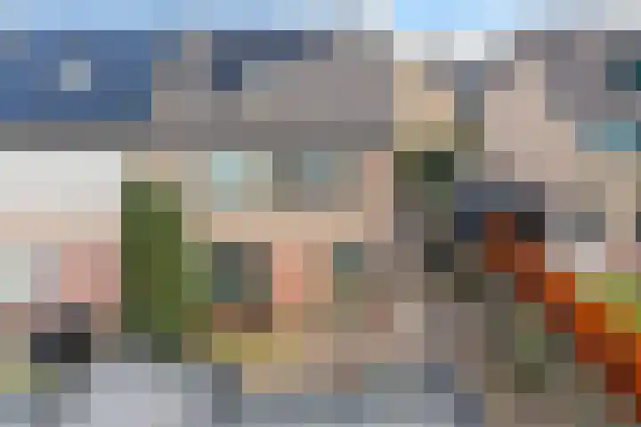 Dieptol 46 Steenwijk thumbnail 36