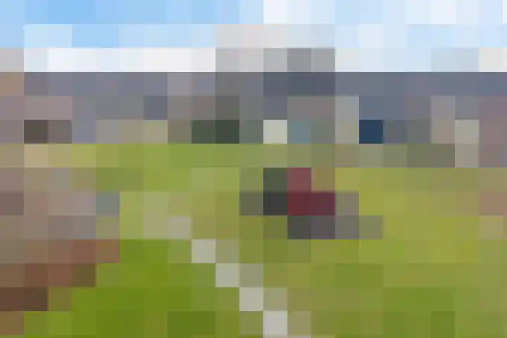 Dieptol 46 Steenwijk thumbnail 37