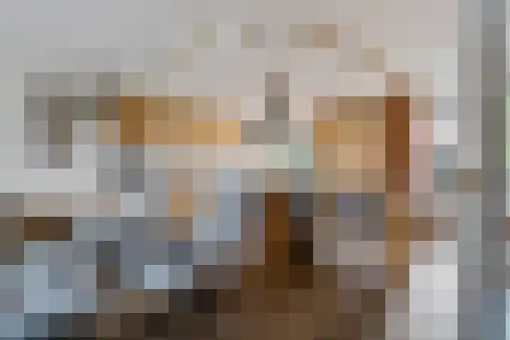 Dieptol 46 Steenwijk thumbnail 8