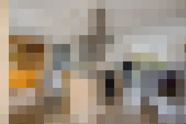 Dieptol 46 Steenwijk thumbnail 9