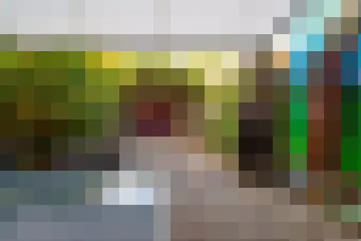 Diepvoorde 1131 Wijchen thumbnail 15