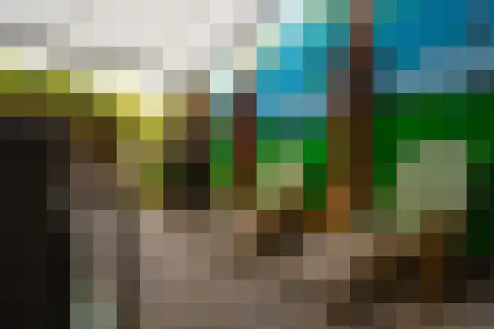 Diepvoorde 1131 Wijchen thumbnail 16