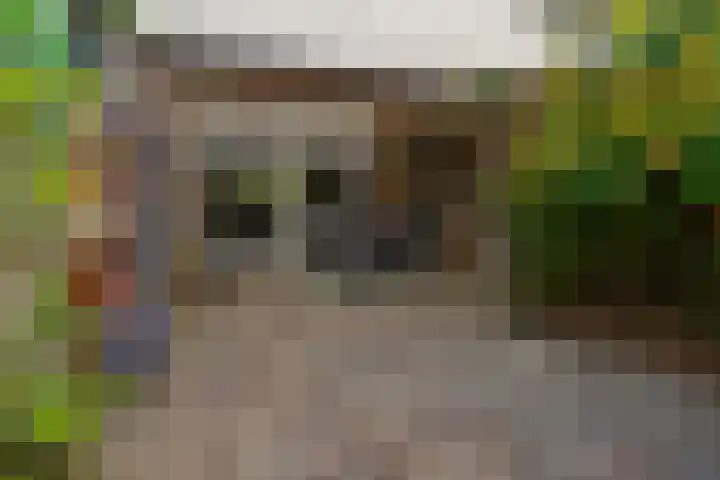 Diepvoorde 1131 Wijchen thumbnail 17