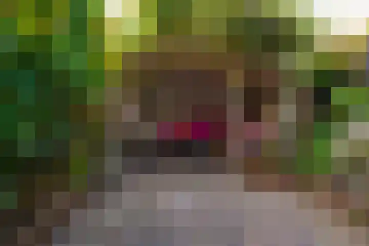 Diepvoorde 1131 Wijchen thumbnail 18