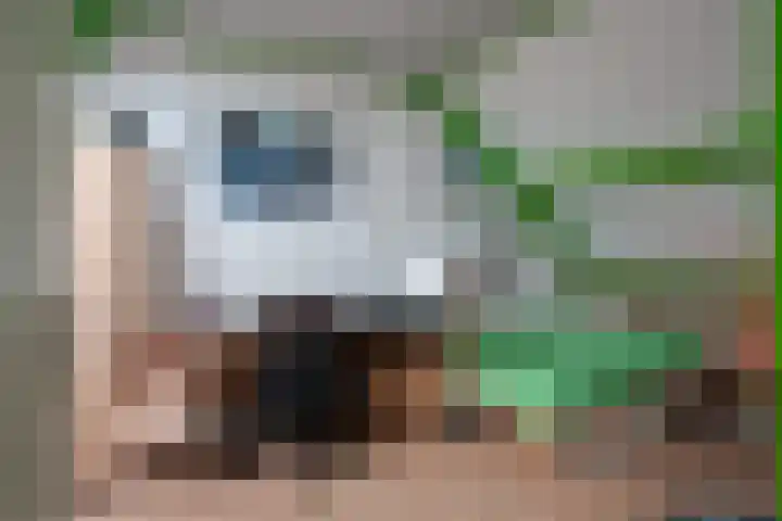 Diepvoorde 1131 Wijchen thumbnail 33