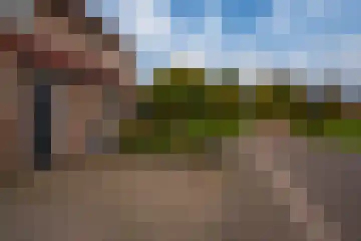 Diepvoorde 1131 Wijchen thumbnail 38
