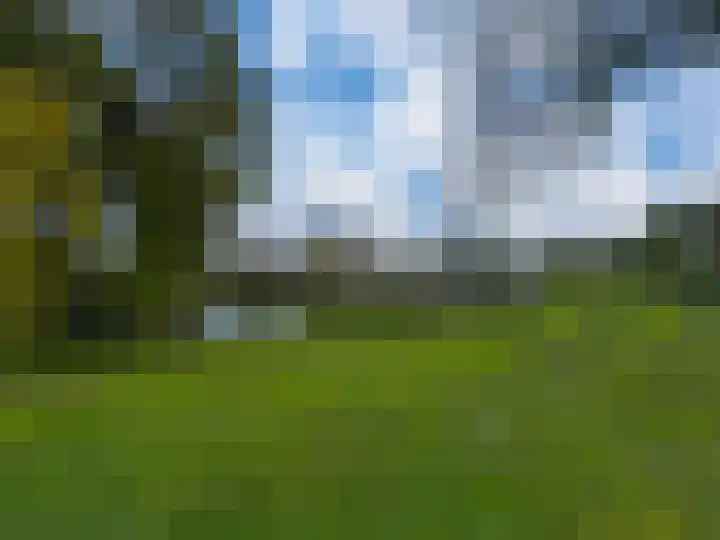 Diepvoorde 1131 Wijchen thumbnail 40