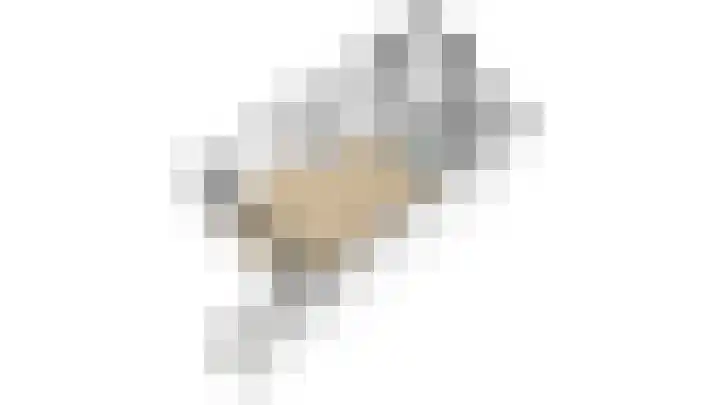 Diepvoorde 1131 Wijchen thumbnail 43