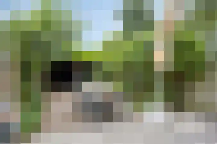 Diepvoorde 1306 Wijchen thumbnail 30