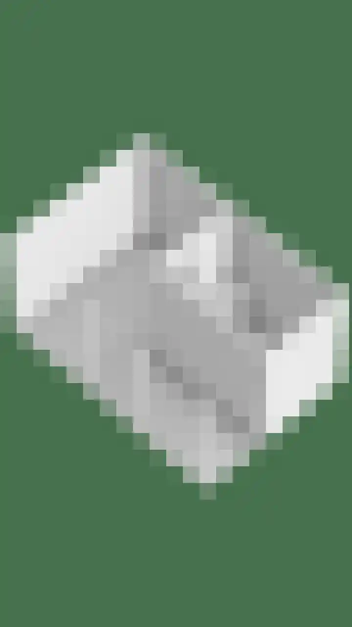 Diepvoorde 1306 Wijchen thumbnail 45