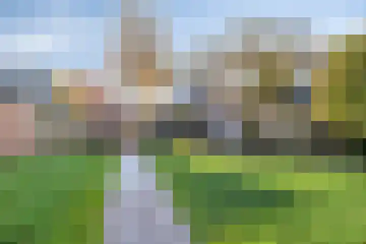 Diepvoorde 2502 Wijchen thumbnail 28
