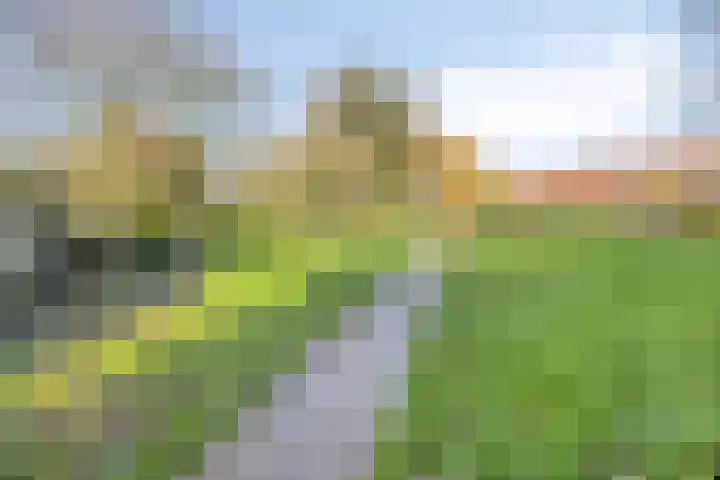 Diepvoorde 2502 Wijchen thumbnail 29