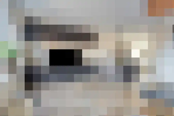 Diepvoorde 2502 Wijchen thumbnail 8
