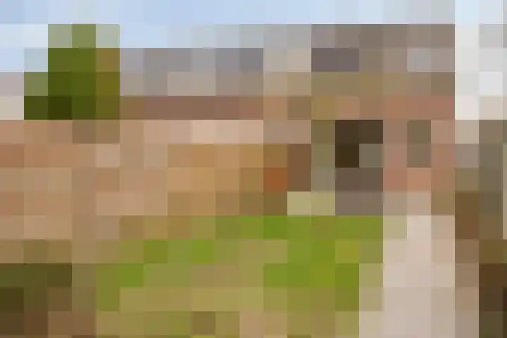 Diepvoorde 2901 Wijchen thumbnail 21