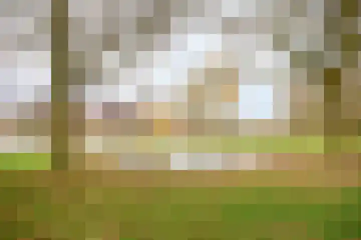 Diepvoorde 2901 Wijchen thumbnail 22