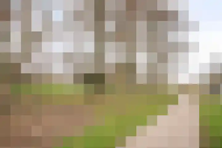 Diepvoorde 2901 Wijchen thumbnail 24