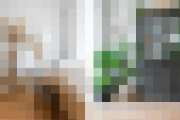 Diepvoorde 3128 Wijchen thumbnail 11