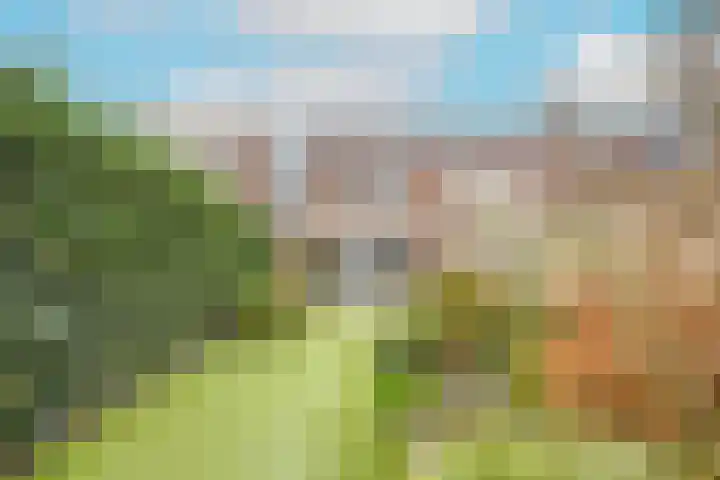 Diepvoorde 3128 Wijchen thumbnail 34