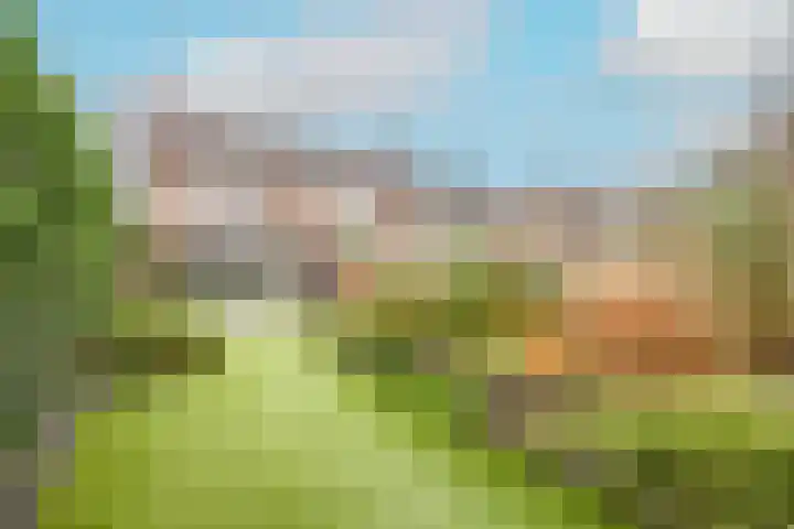 Diepvoorde 3128 Wijchen thumbnail 35
