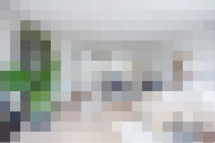 Diepvoorde 3128 Wijchen thumbnail 8