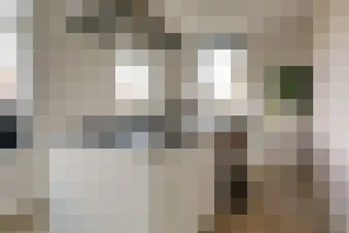 Dierenriem 4 Elst thumbnail 10