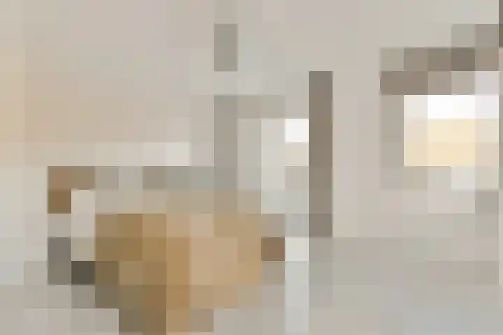 Dierenriem 4 Elst thumbnail 14