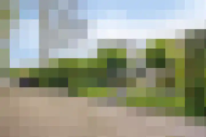 Dierenriem 4 Elst thumbnail 25