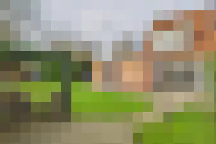 Dierenriem 4 Elst thumbnail 26