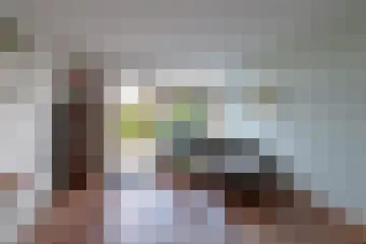 Dierenriem 4 Elst thumbnail 5