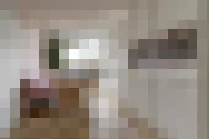 Dierenriem 4 Elst thumbnail 7