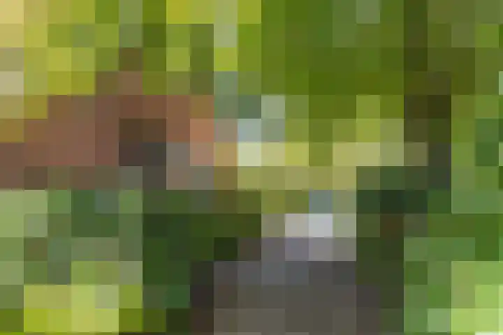 Dierenriem 4 Elst thumbnail 9