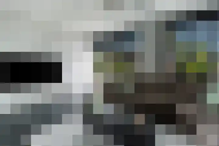 Dierenriem 57 Amsterdam thumbnail 14