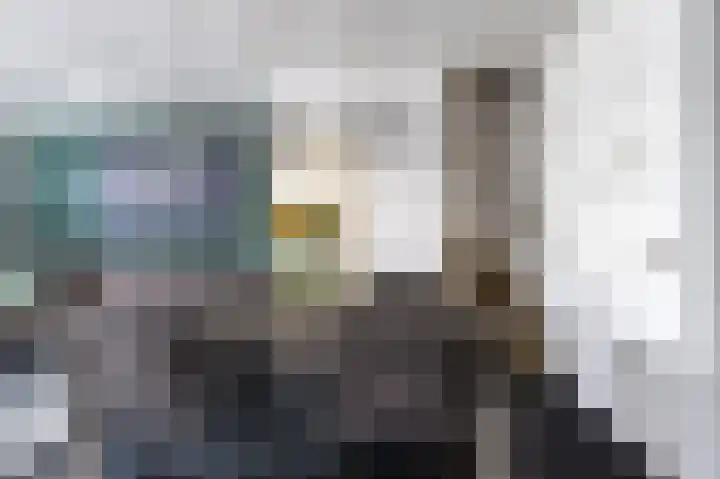 Dierenriem 57 Amsterdam thumbnail 18