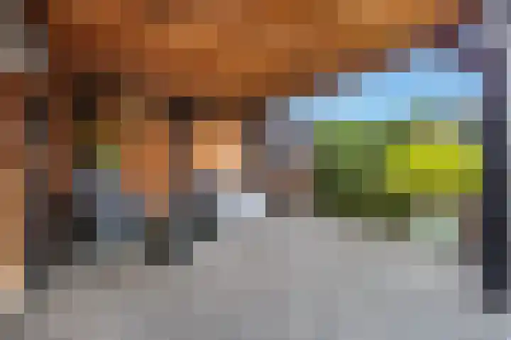 Dierenriem 57 Amsterdam thumbnail 23