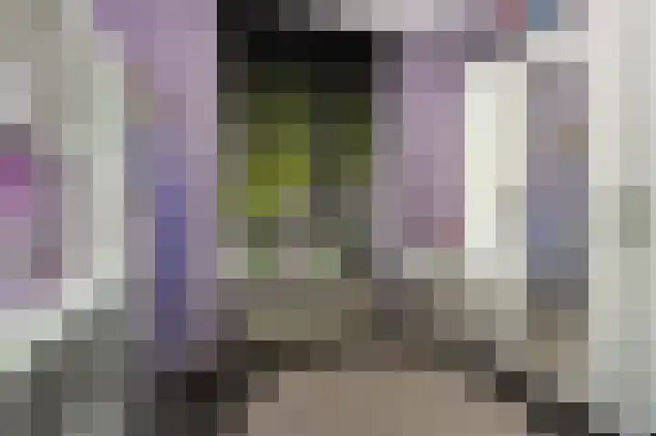 Dierenriem 57 Amsterdam thumbnail 31