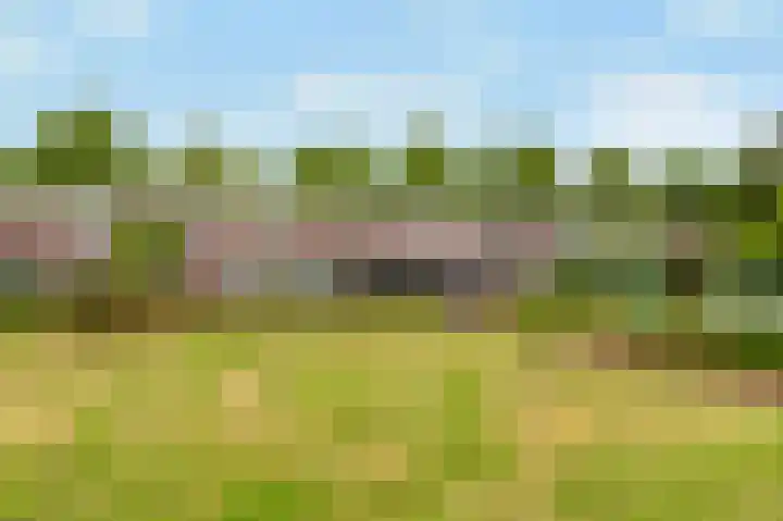Dierenriem 57 Amsterdam thumbnail 37