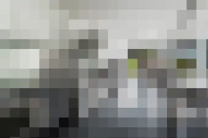 Dierenriem 57 Amsterdam thumbnail 8