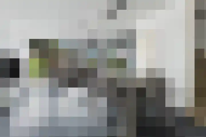Dierenriem 57 Amsterdam thumbnail 9