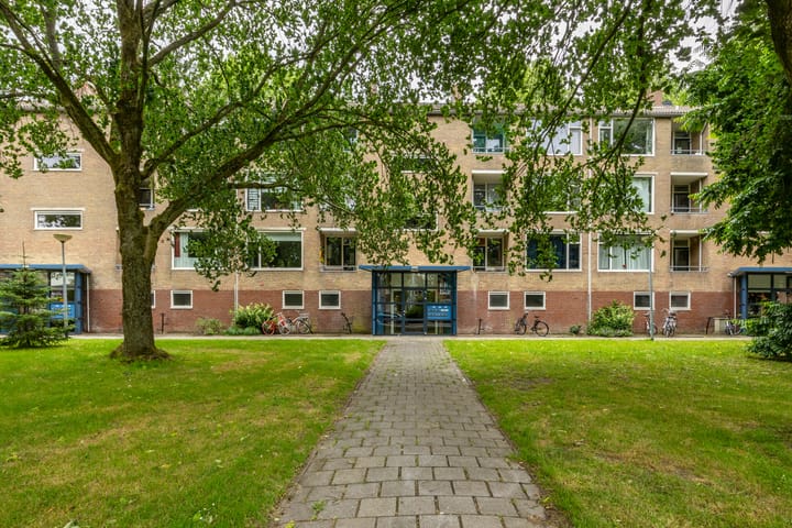 Dierenriemstraat 205 in Groningen foto