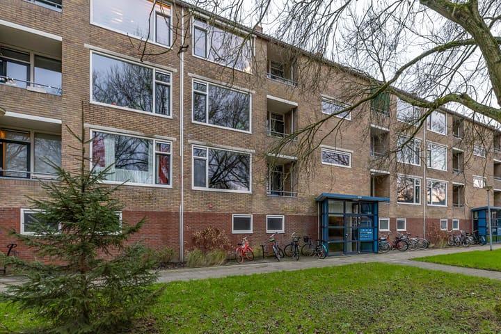 Dierenriemstraat 207 in Groningen foto