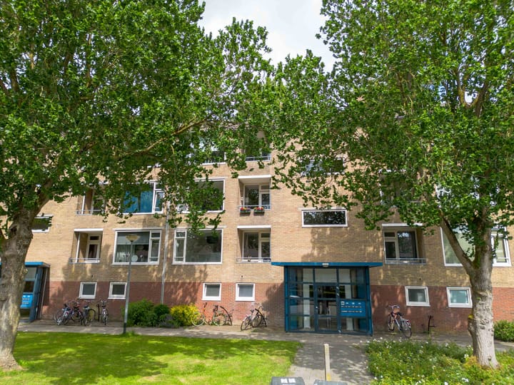 Dierenriemstraat 31 in Groningen foto