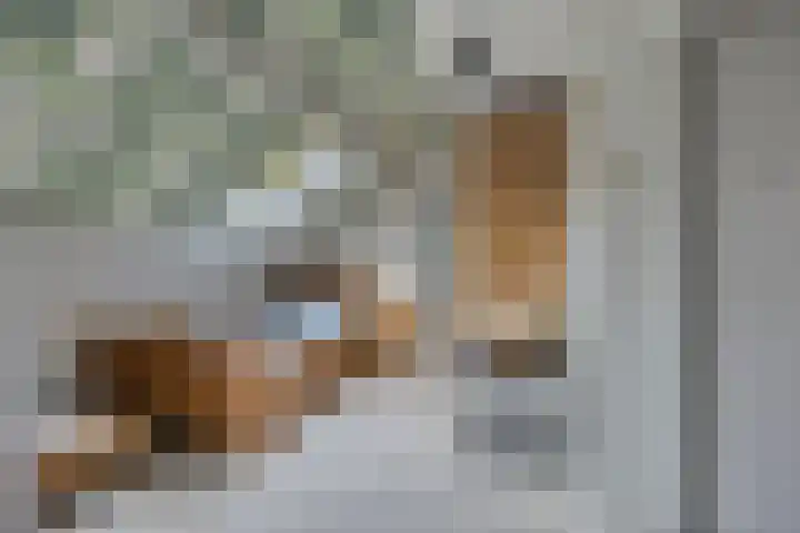 Dierenstraat 34 Rotterdam thumbnail 20