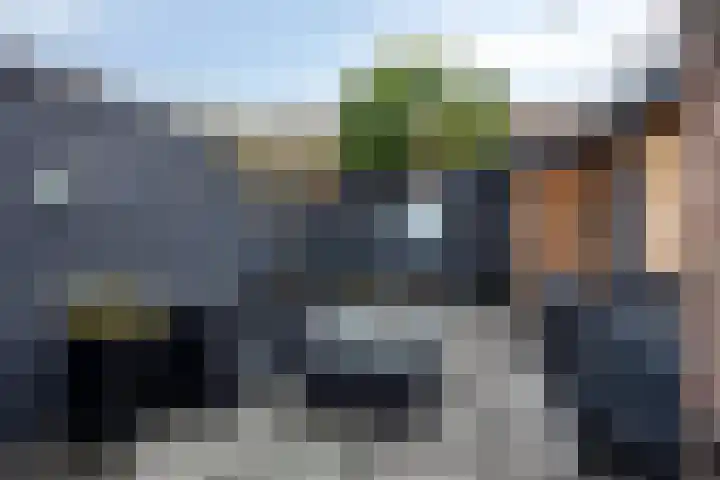 Dierenstraat 34 Rotterdam thumbnail 22