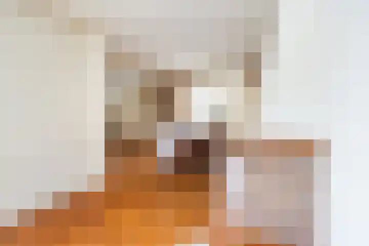 Diergaarde 12 Ulft thumbnail 16