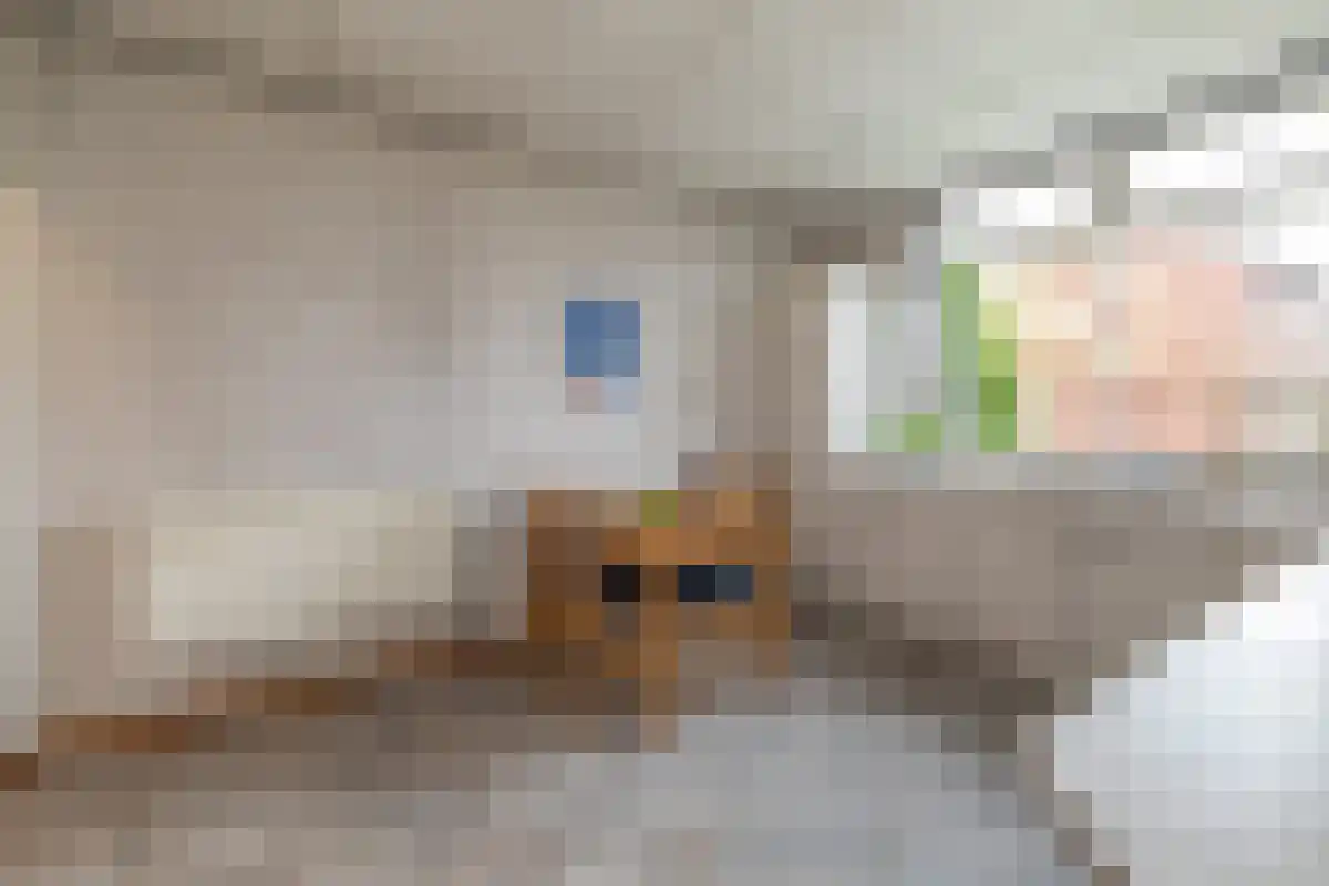 Diergaarde 14 Ulft thumbnail 11