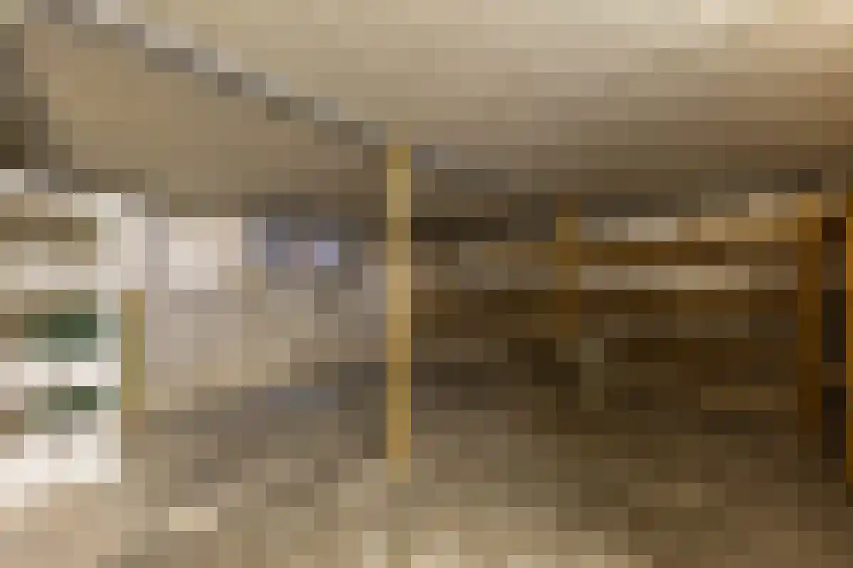 Diergaarde 14 Ulft thumbnail 16
