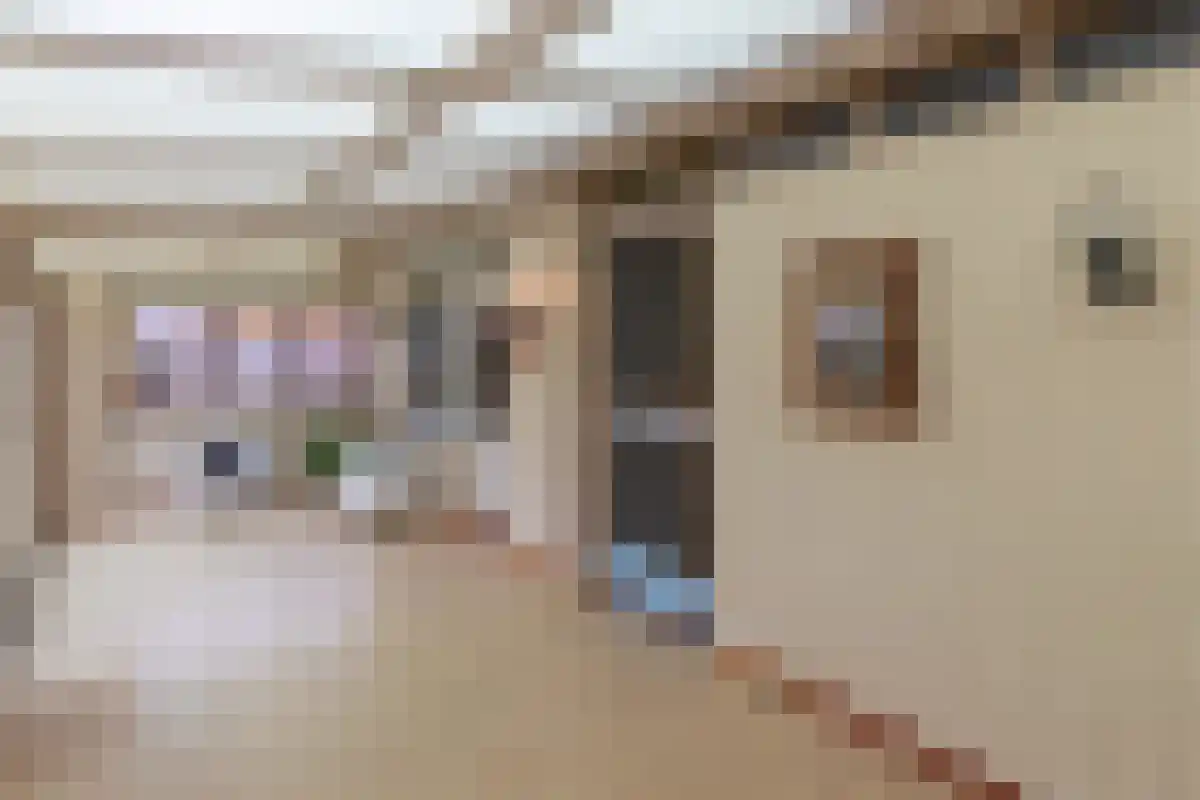 Diergaarde 14 Ulft thumbnail 24