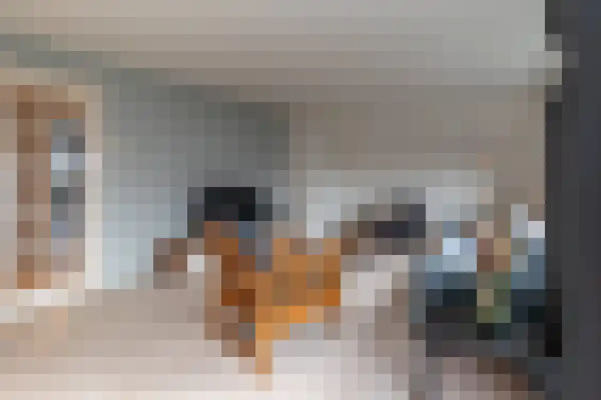 Diergaarde 14 Ulft thumbnail 28