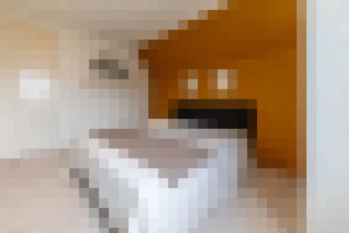 Diergaarde 14 Ulft thumbnail 37